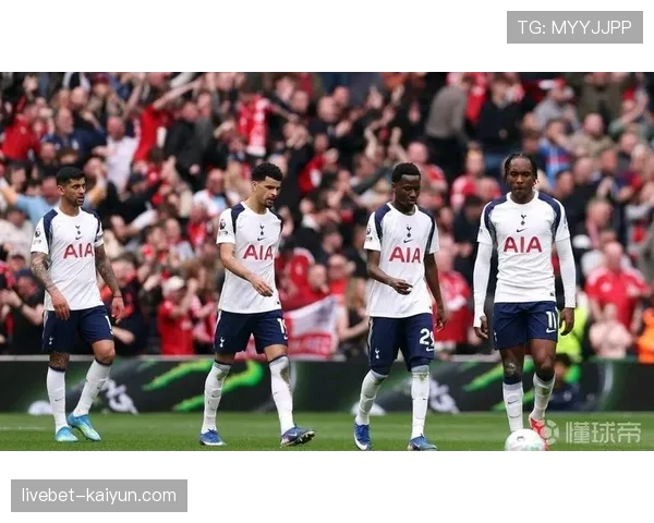 Opta预测：热刺降级概率达48.68%，西汉姆联38.73%